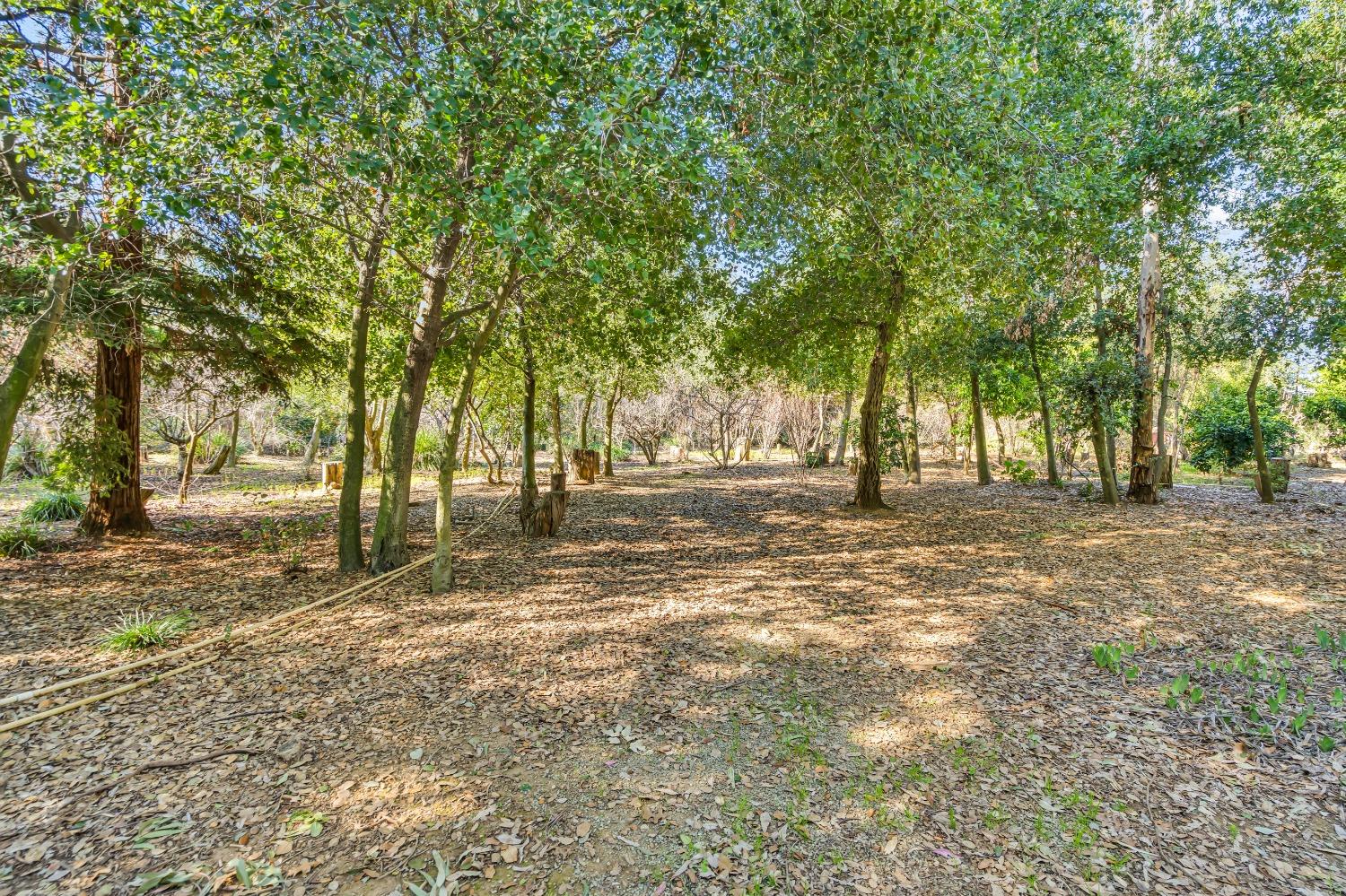 Detail Gallery Image 50 of 79 For 11909 Giusti Rd, Herald,  CA 95638 - 3 Beds | 2/1 Baths