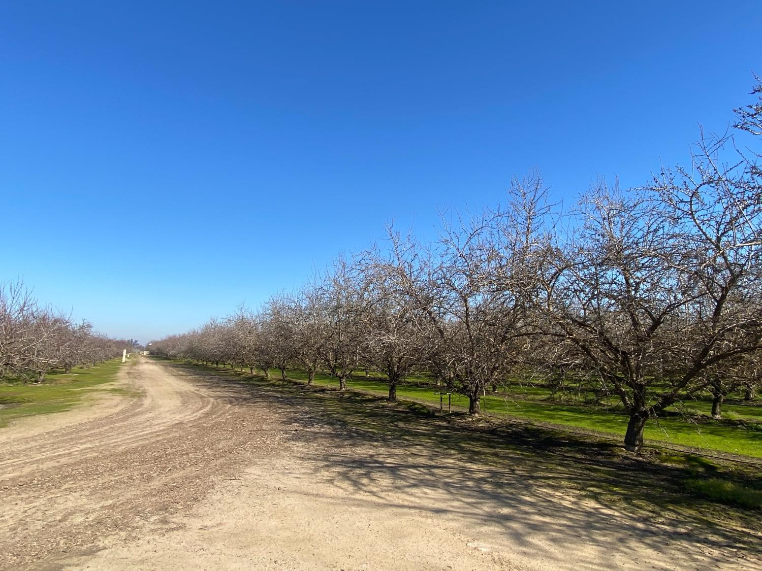 Yosemite Boulevard, Modesto, California image 11