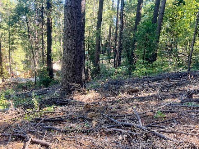 Manzanita Trail, Colfax, California image 17