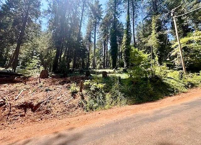 Manzanita Trail, Colfax, California image 5