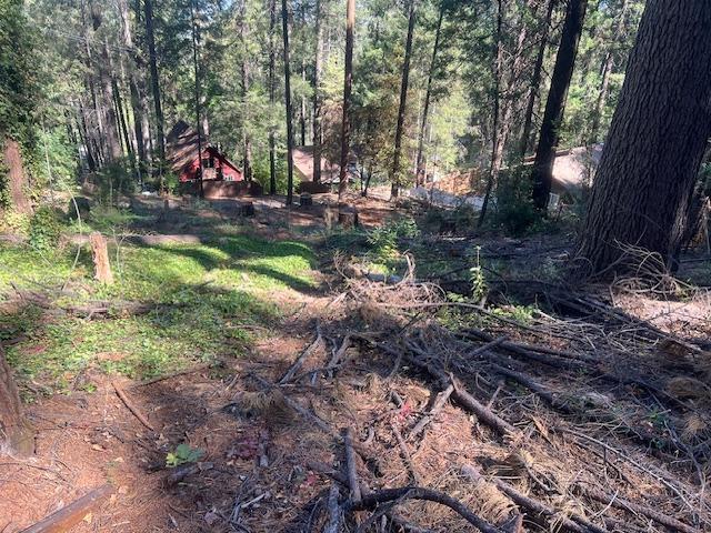 Manzanita Trail, Colfax, California image 3