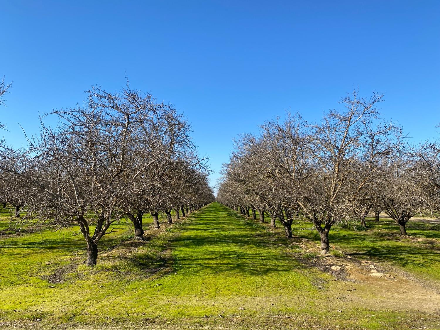 Yosemite Boulevard, Modesto, California image 12