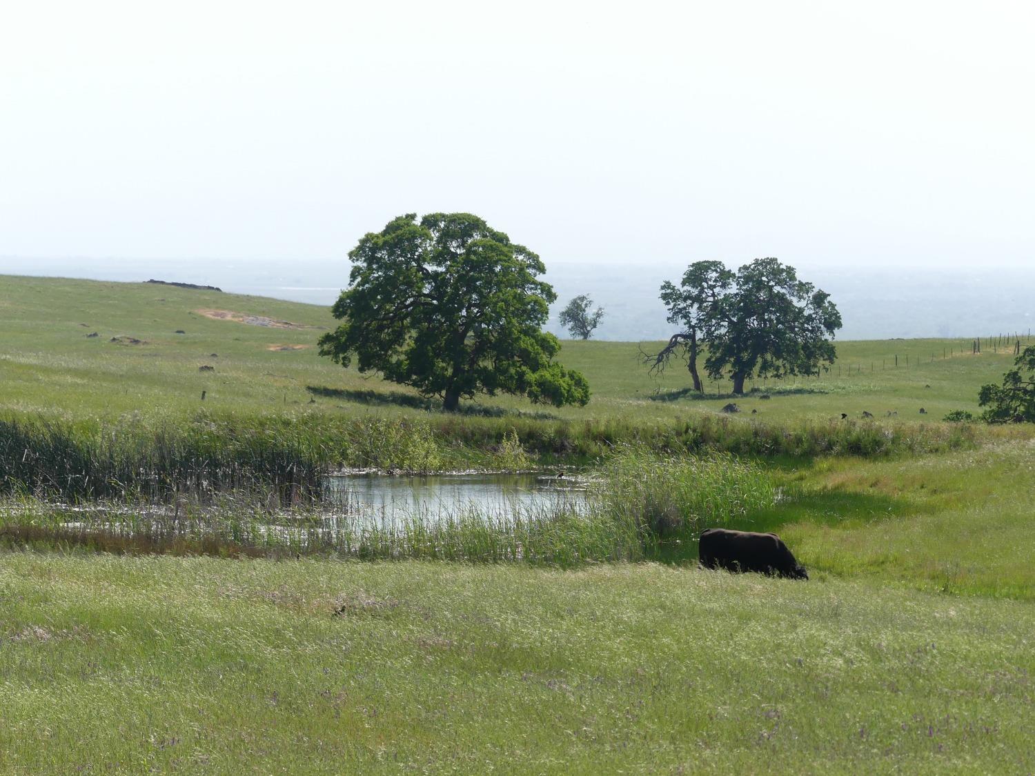 Merced Falls Rd, La Grange, California image 9