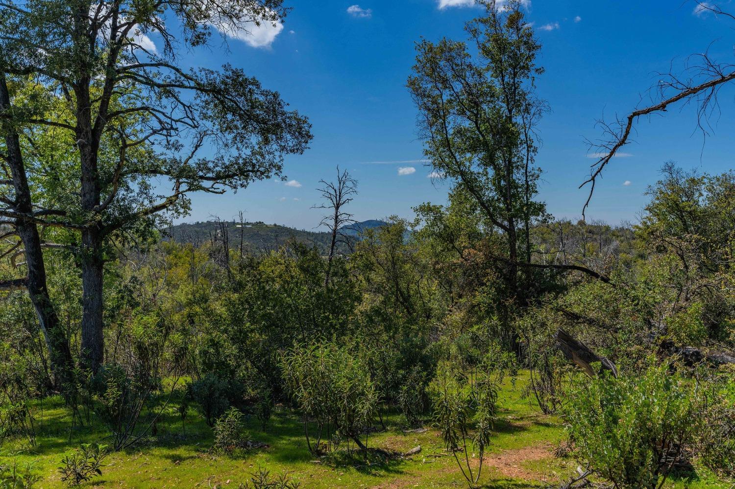 Buhach Road, Winton, California image 6