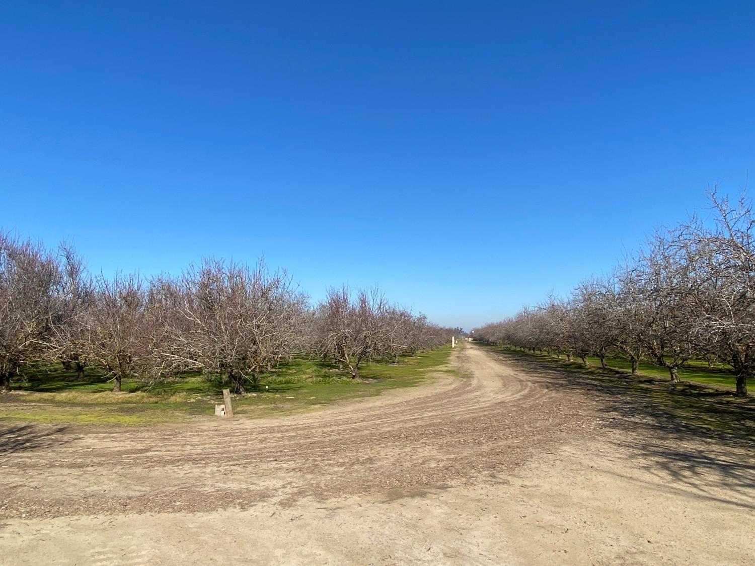 Yosemite Boulevard, Modesto, California image 10