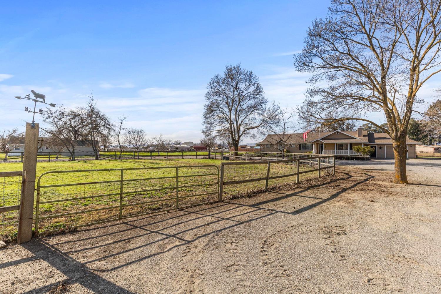 Cosner Avenue, Maxwell, California image 8