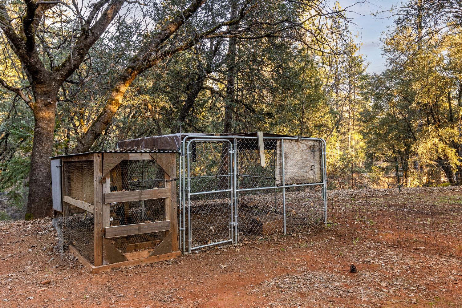 Diamond Back Way, Grass Valley, California image 30