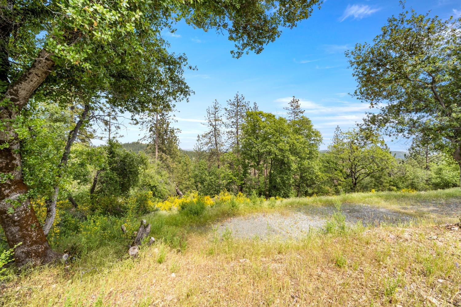 Cuckoo Court, Applegate, California image 5