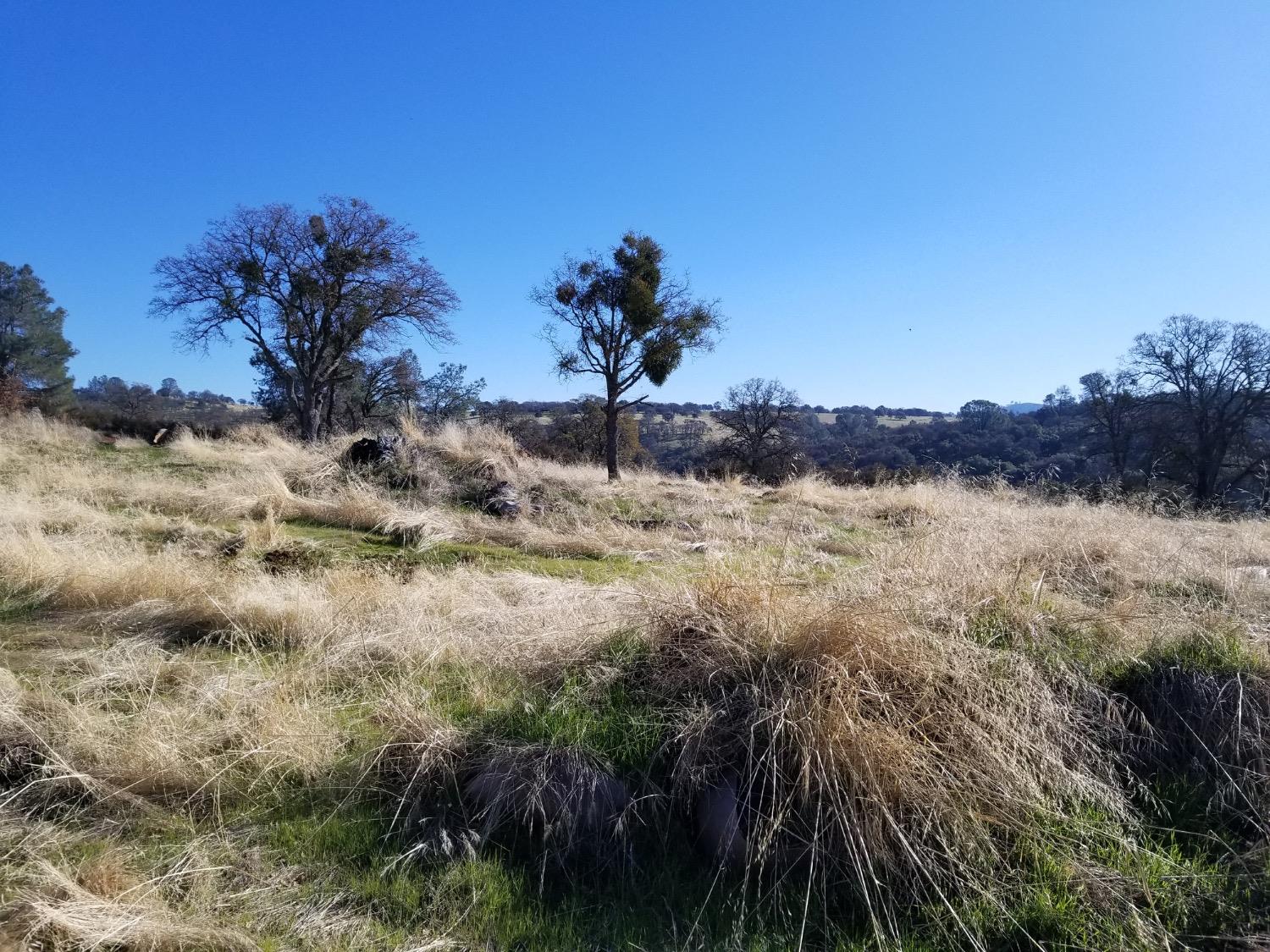 Goodell Rd, Valley Springs, California image 7