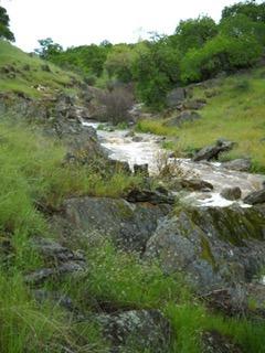 Los Nogales Road, La Grange, California image 1