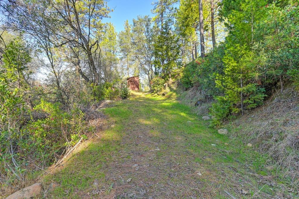 Grub Creek Drive, Rough and Ready, California image 44