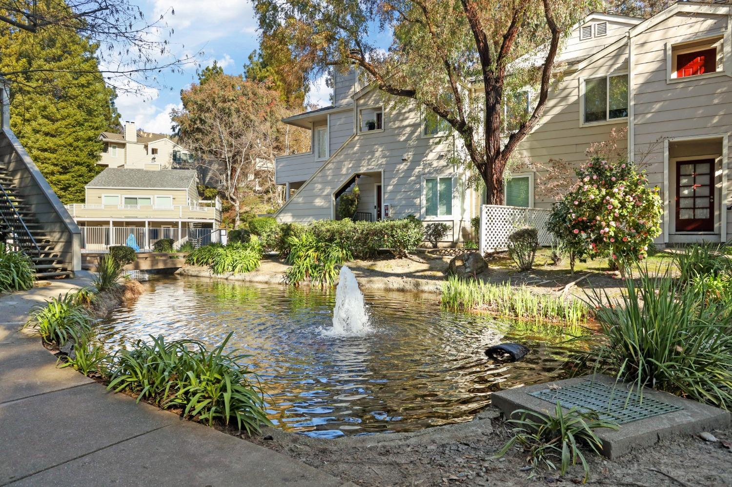 Norris Canyon Place #B, San Ramon, California image 20