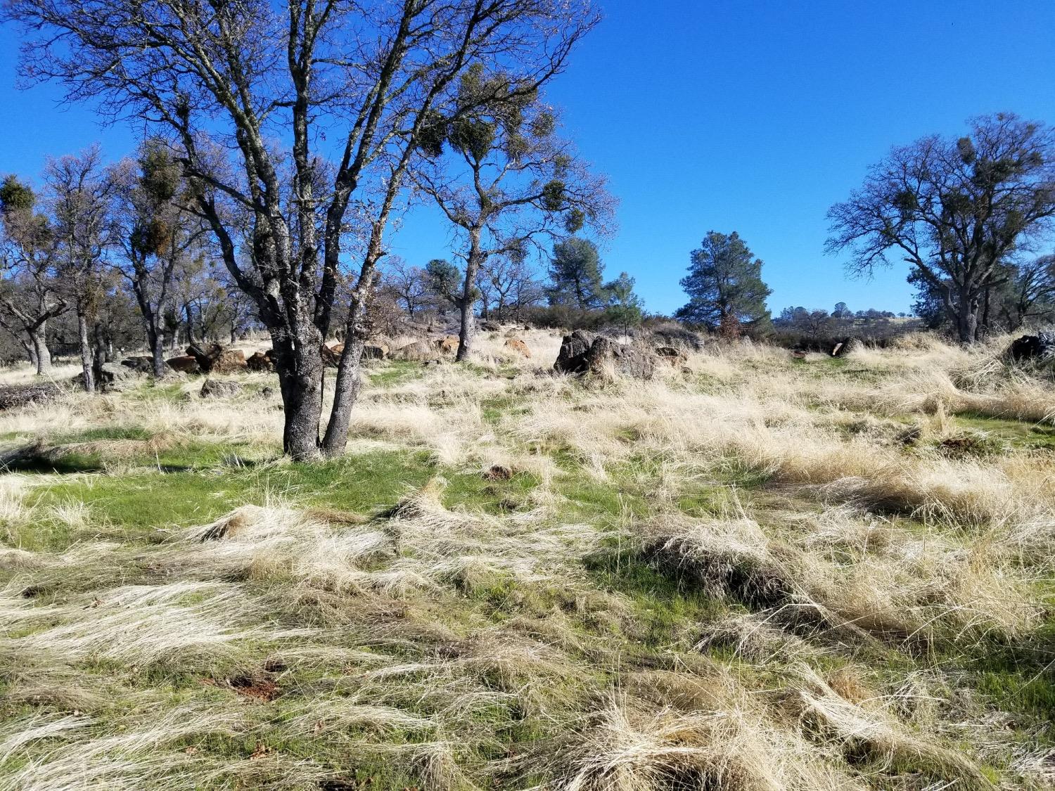 Goodell Rd, Valley Springs, California image 6