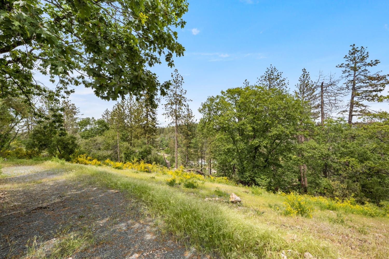 Cuckoo Court, Applegate, California image 4