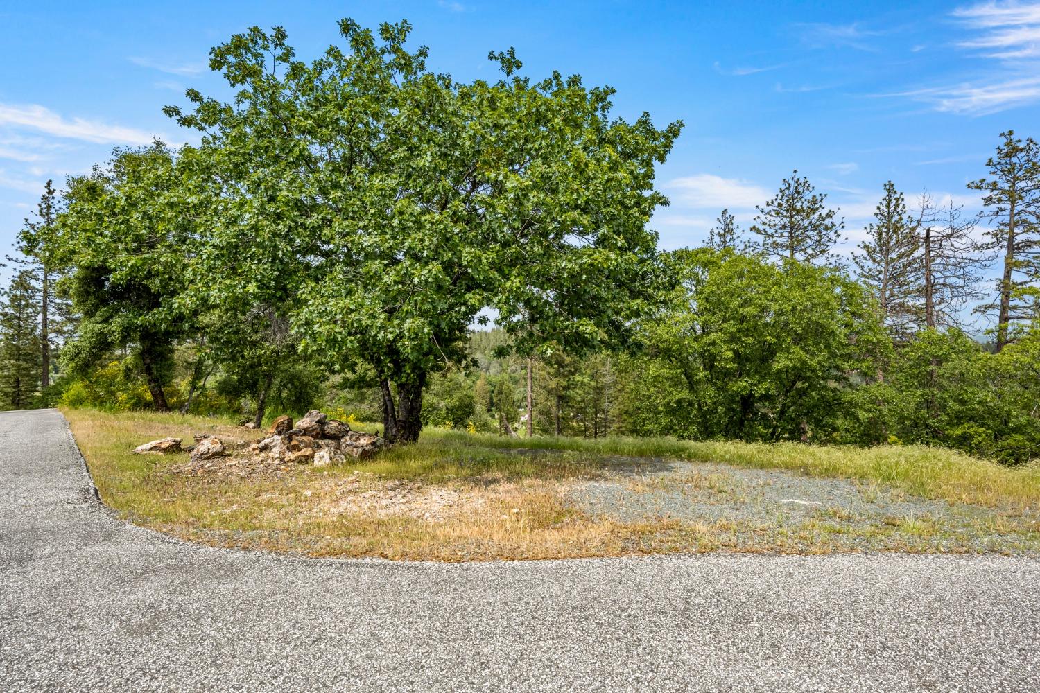 Cuckoo Court, Applegate, California image 2