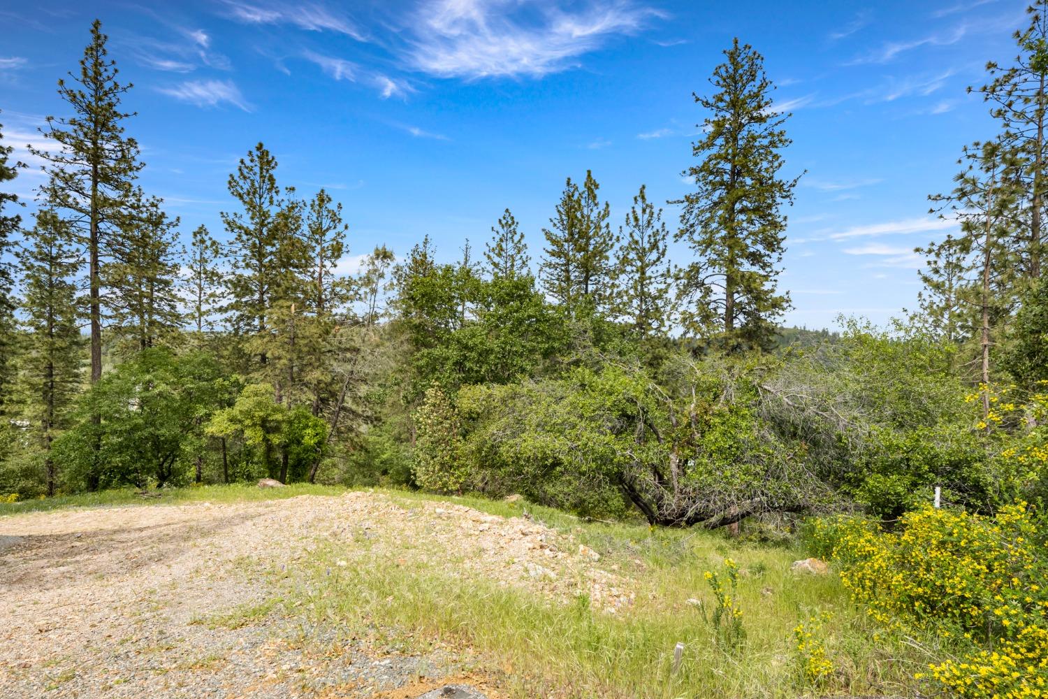 Cuckoo Court, Applegate, California image 1