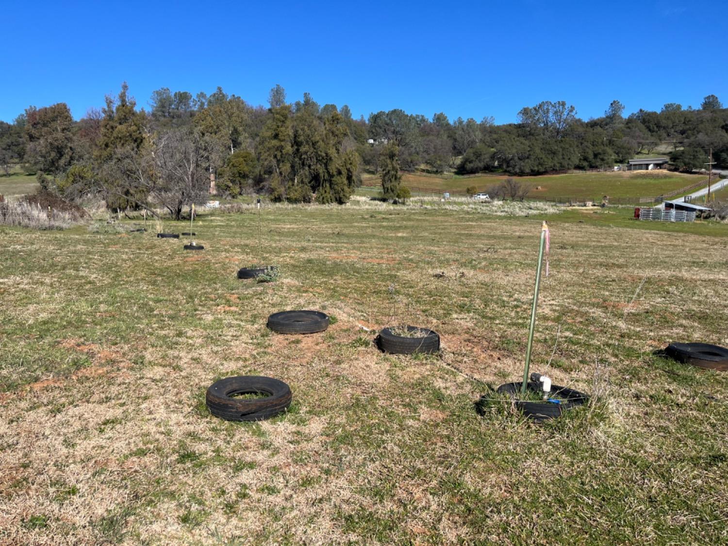 Oak View Drive, Pilot Hill, California image 8