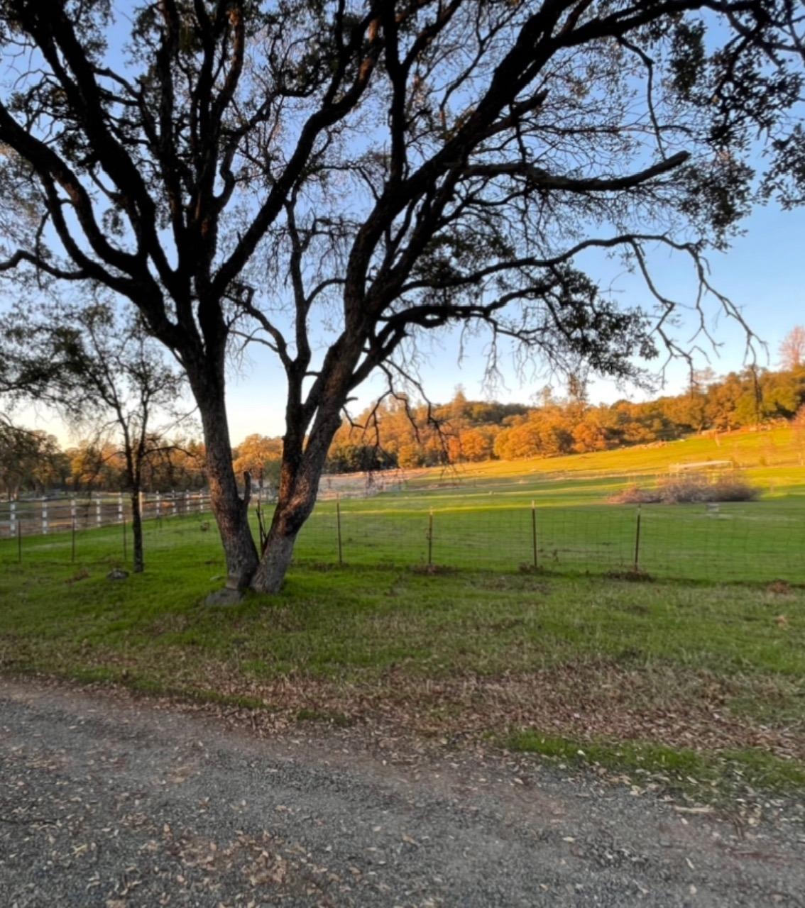 Fawnridge Road, Auburn, California image 6