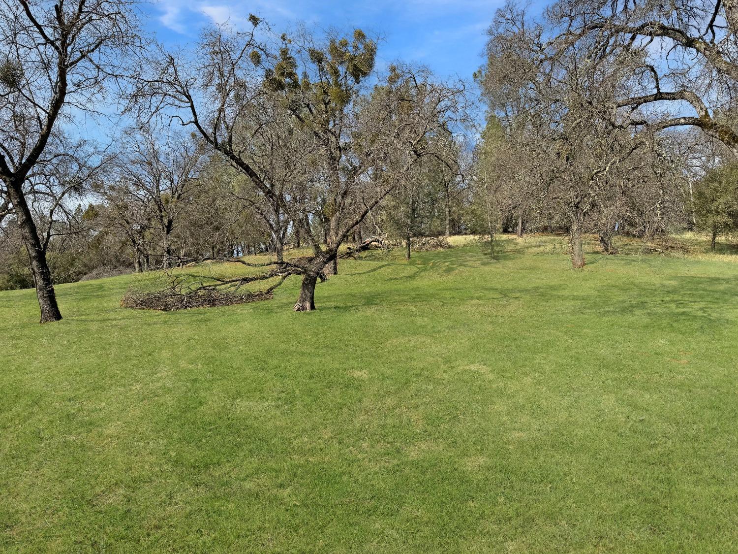 Table Meadow Road, Auburn, California image 3