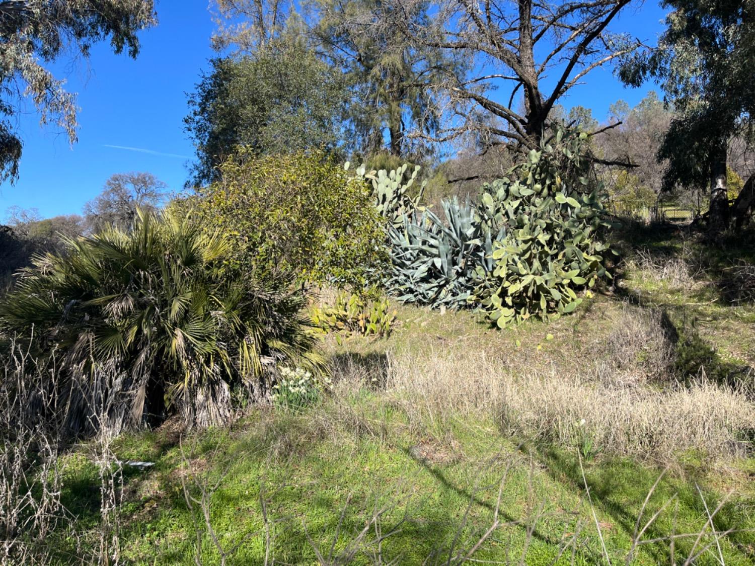 Oak View Drive, Pilot Hill, California image 5