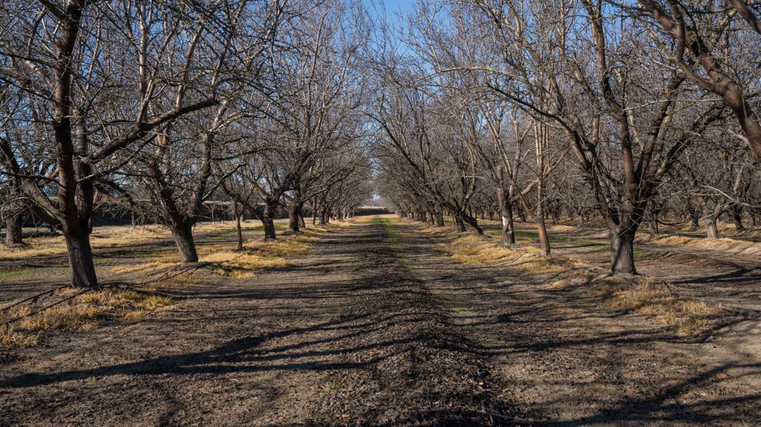 Finney Road, Modesto, California image 8