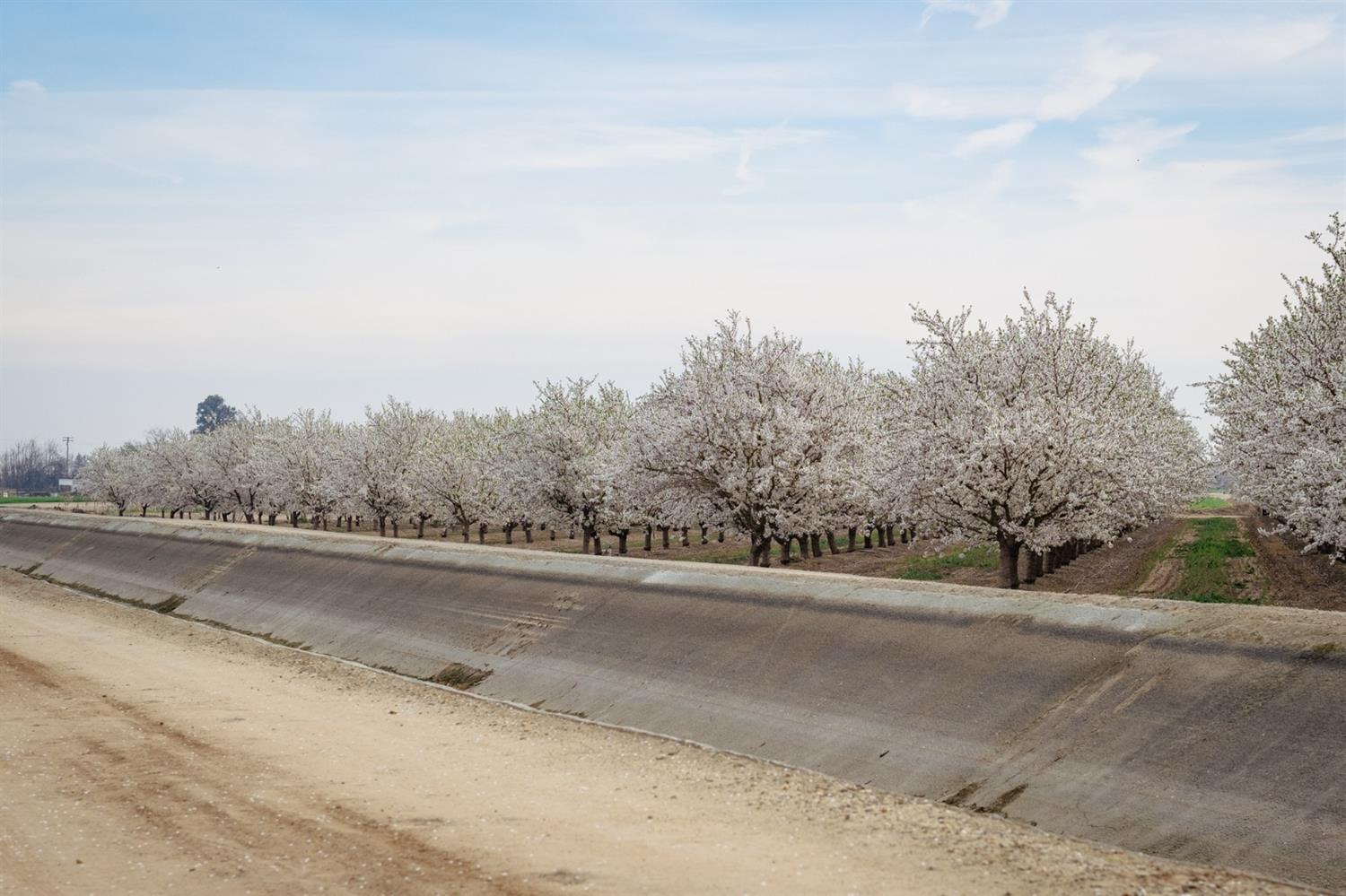 Hart Road, Modesto, California image 16