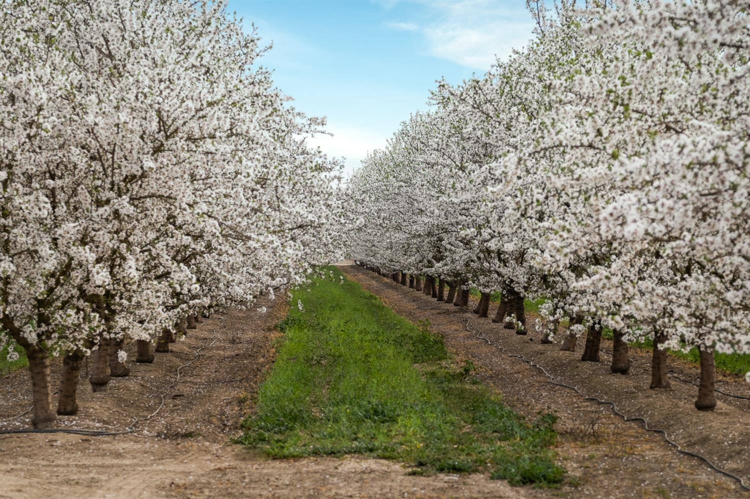 Hart Road, Modesto, California image 13