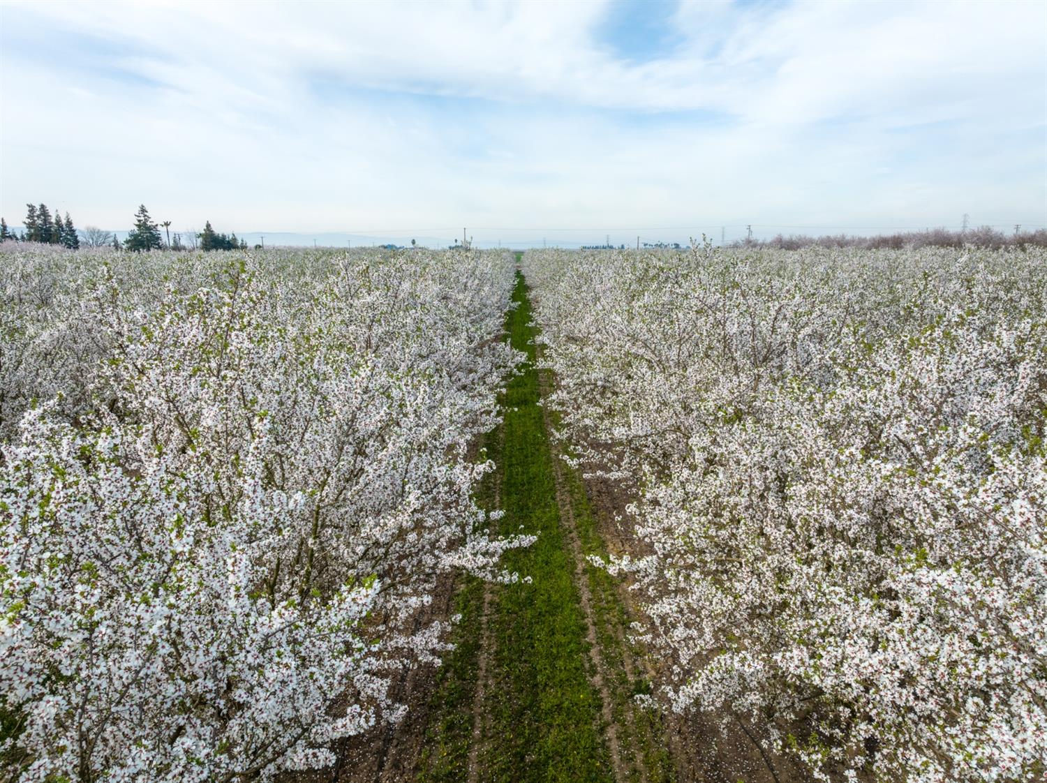 Hart Road, Modesto, California image 15