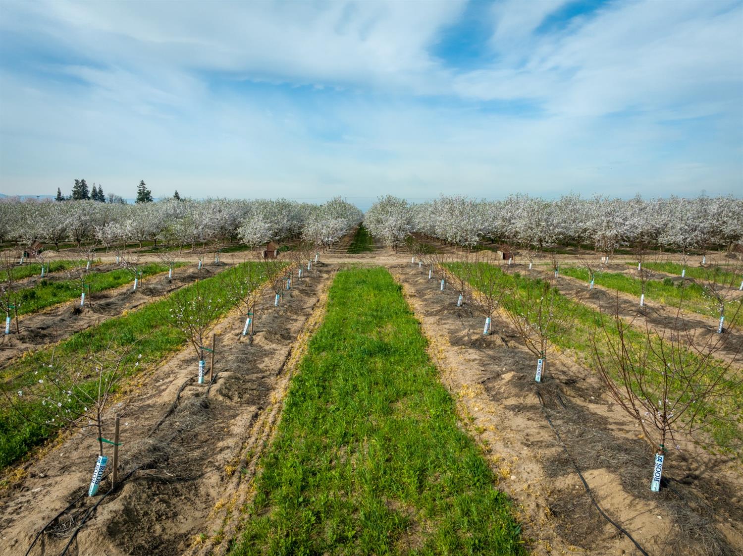 Hart Road, Modesto, California image 17