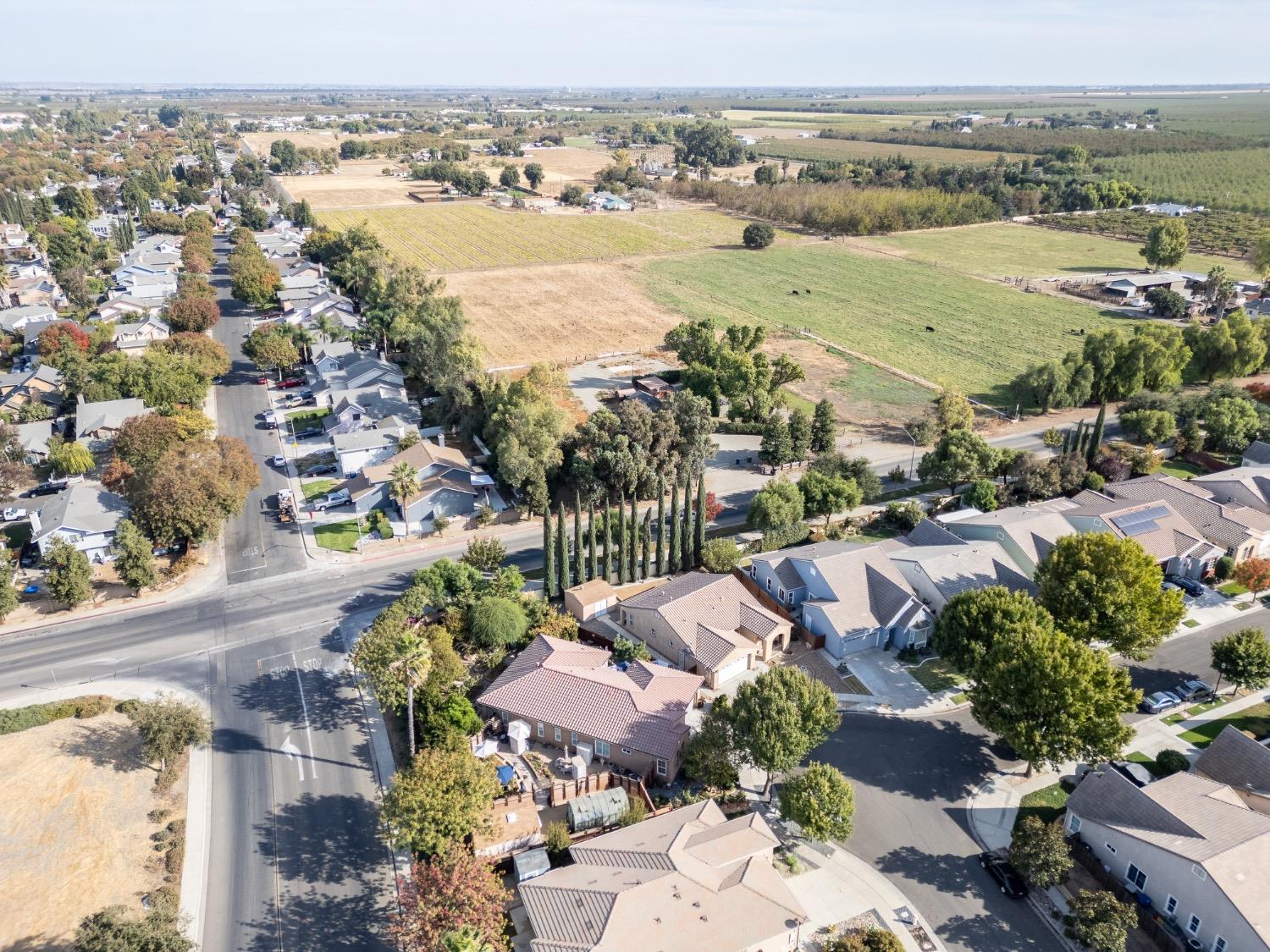 Spring Avenue, Patterson, California image 40