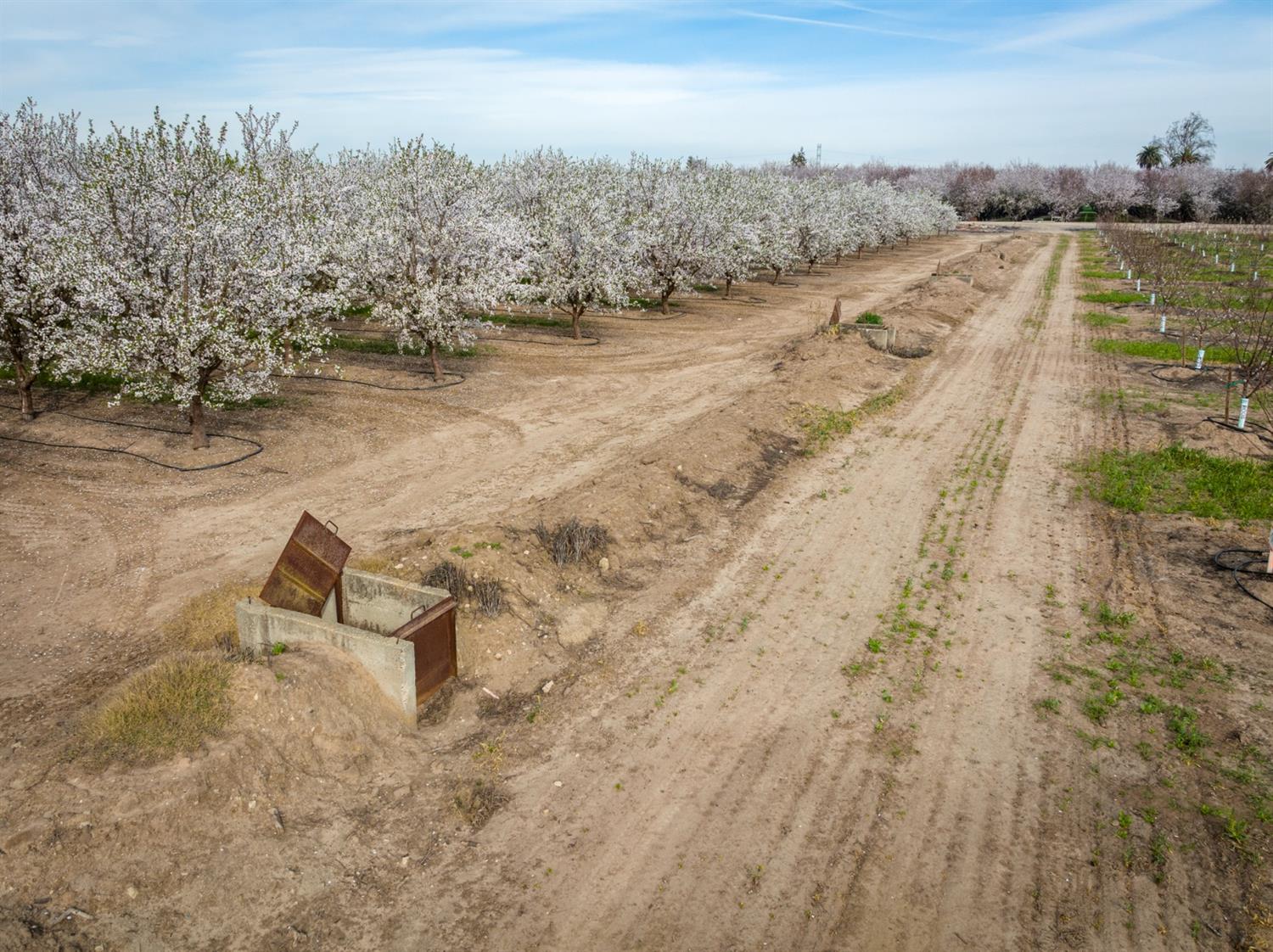 Hart Road, Modesto, California image 18