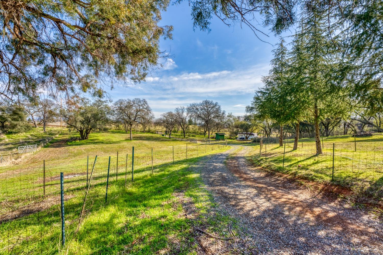 South Shingle Road, Shingle Springs, California image 8