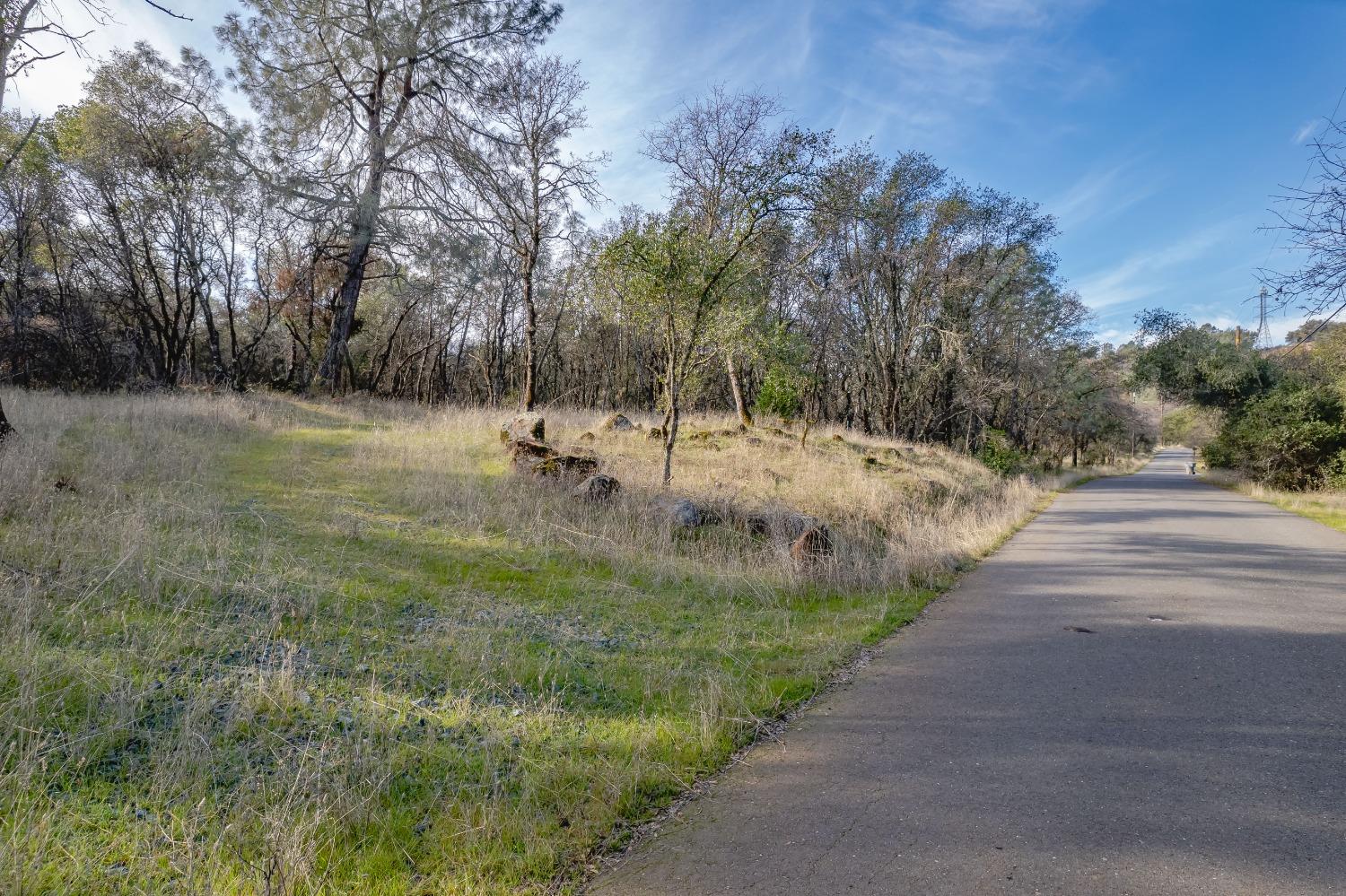 Therese Trail, Browns Valley, California image 6