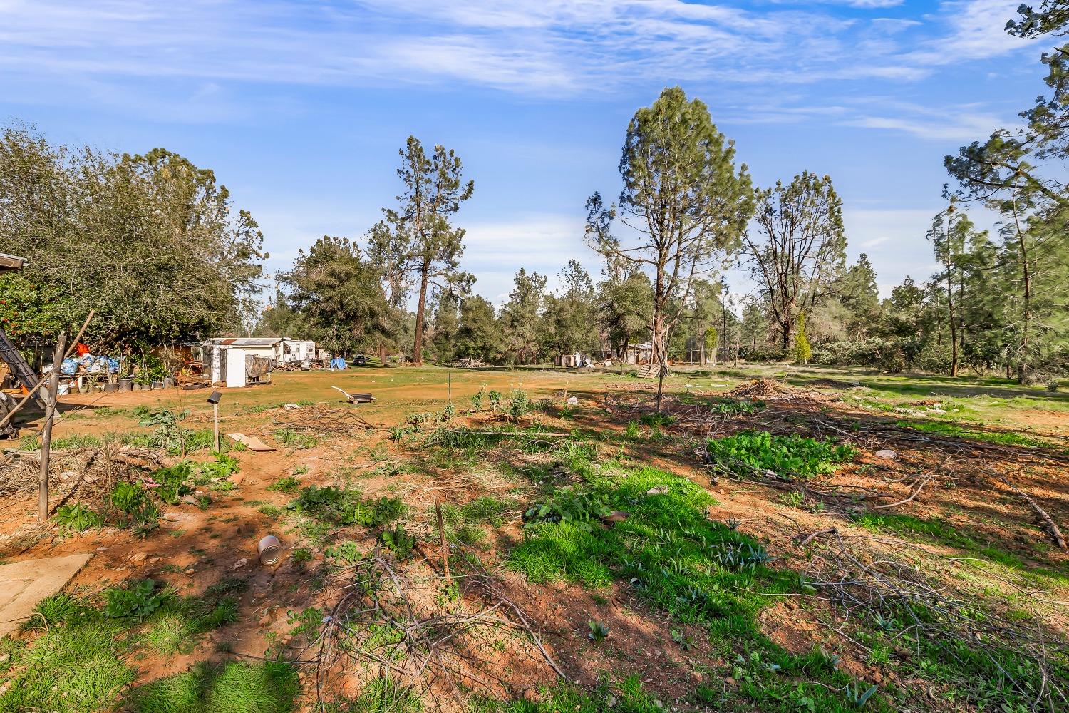 Hidden Ranch Road, Anderson, California image 12