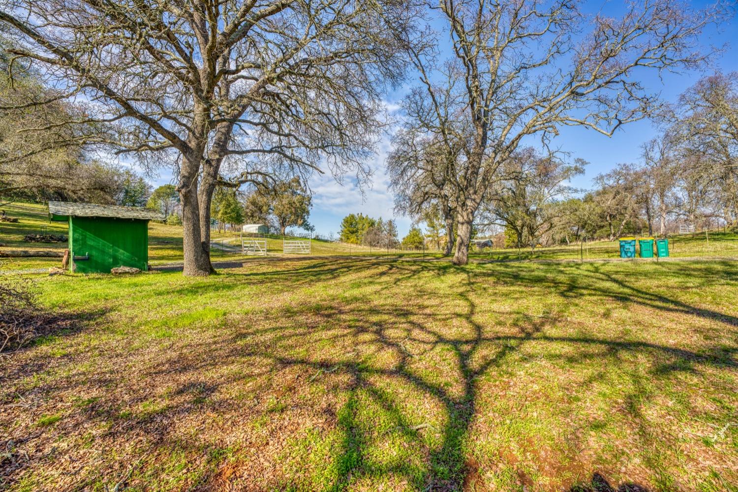 South Shingle Road, Shingle Springs, California image 4