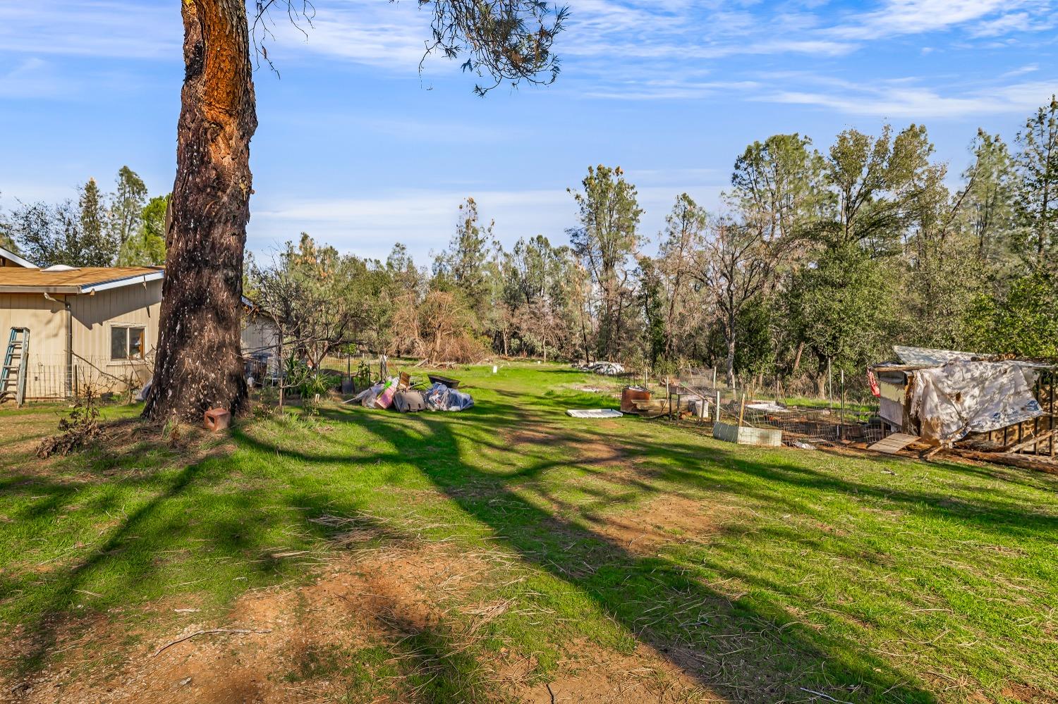 Hidden Ranch Road, Anderson, California image 4