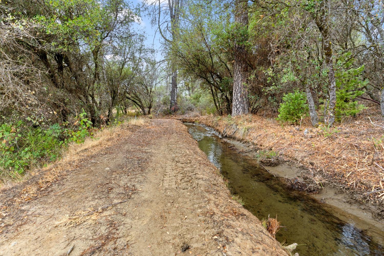 Newtown Road, Nevada City, California image 35