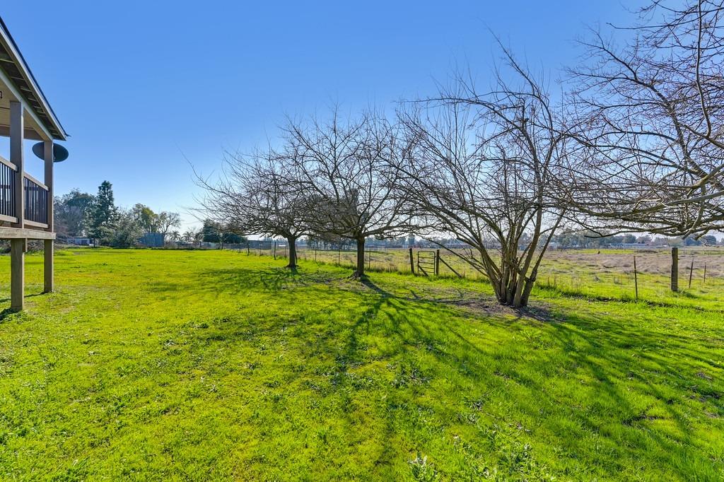 Sharrmont Ct, Wilton, California image 37