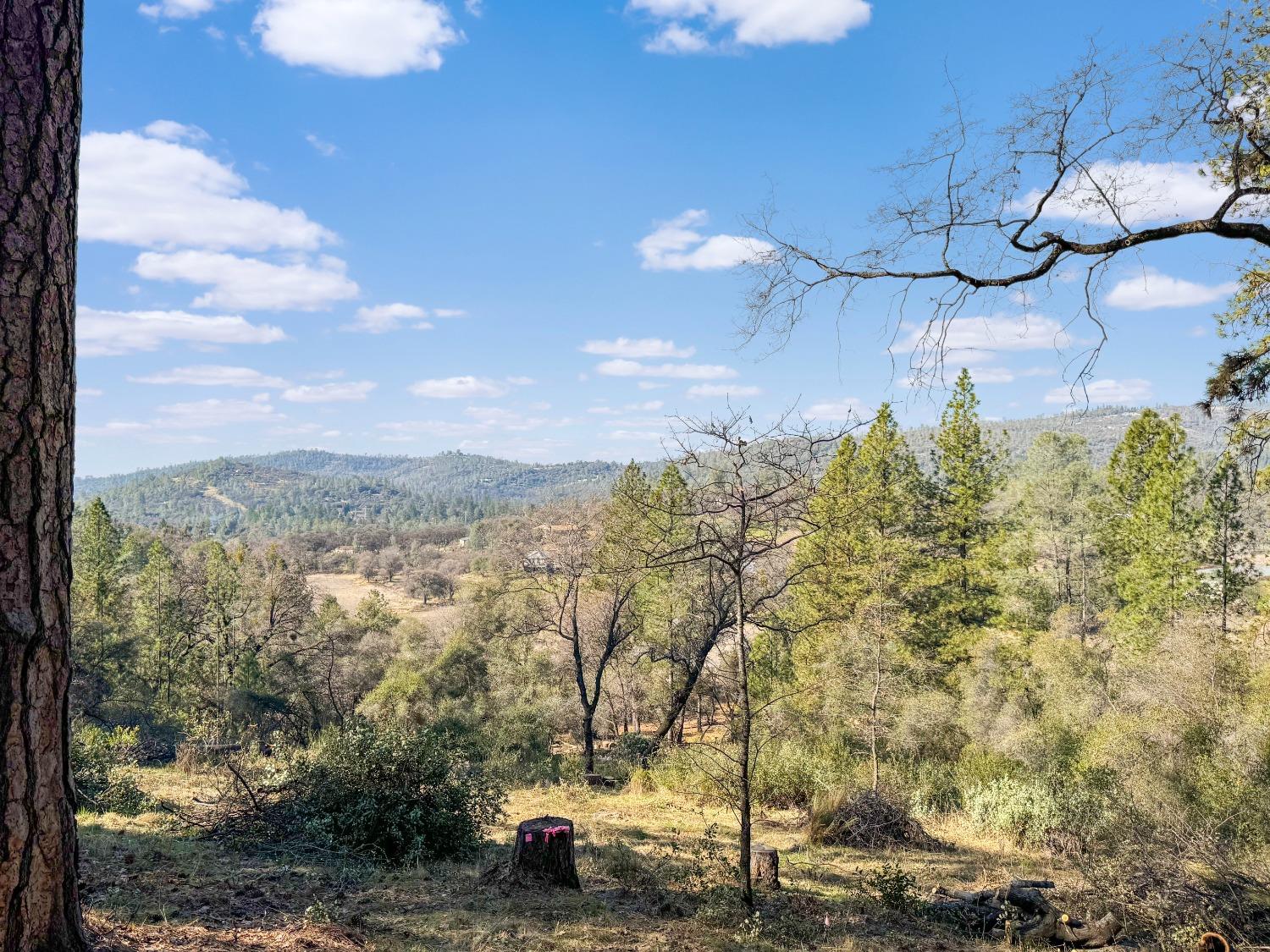 East Lime Kiln Road, Grass Valley, California image 3