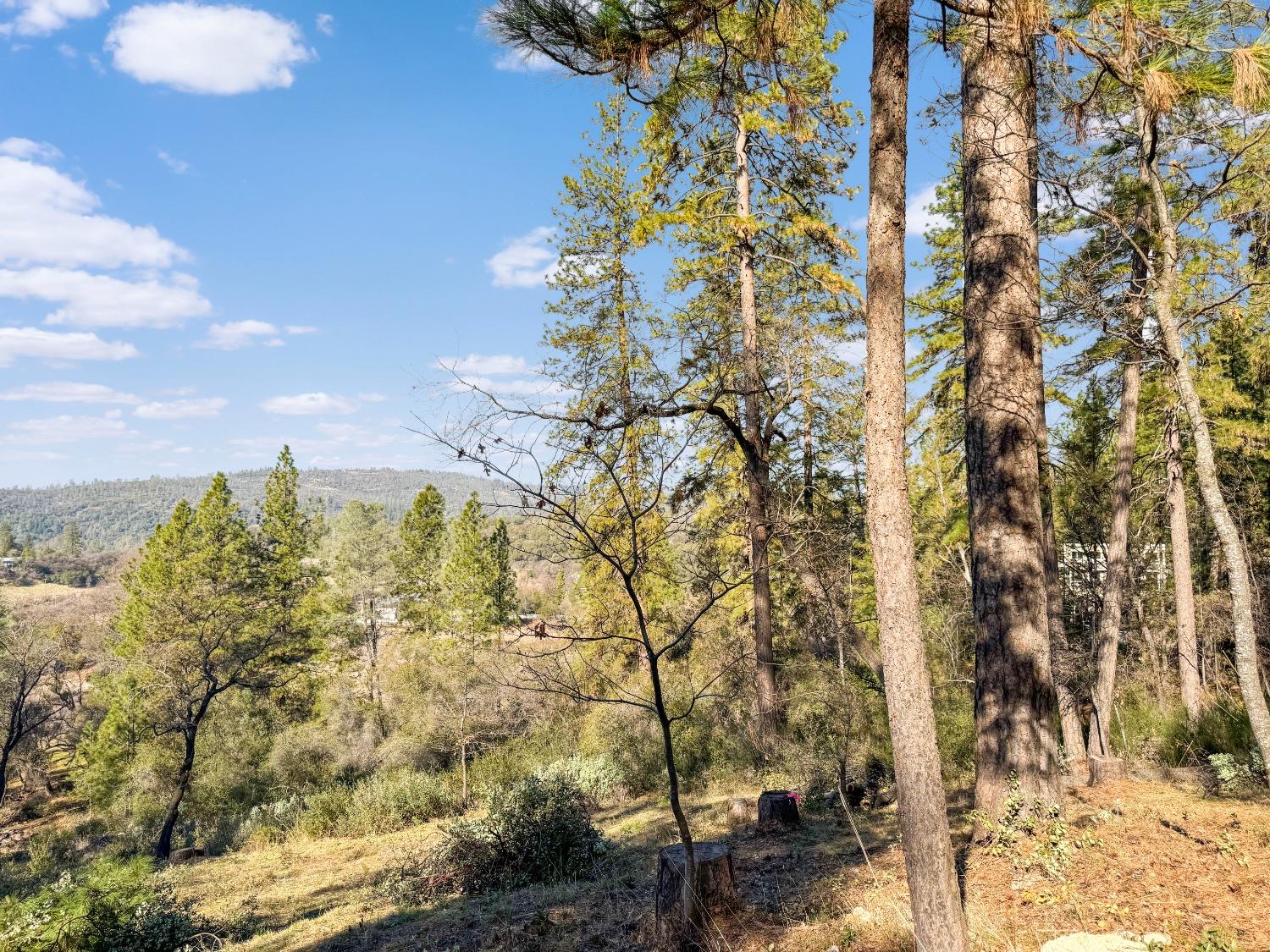 East Lime Kiln Road, Grass Valley, California image 2