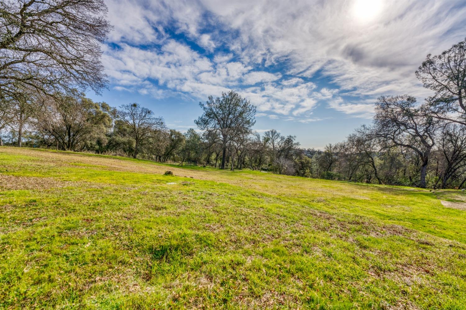 Dust Cloud Drive, Shingle Springs, California image 8