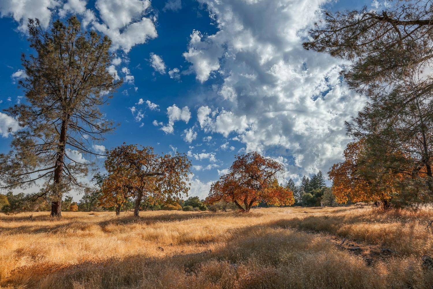 N Mine Road, Somerset, California image 28