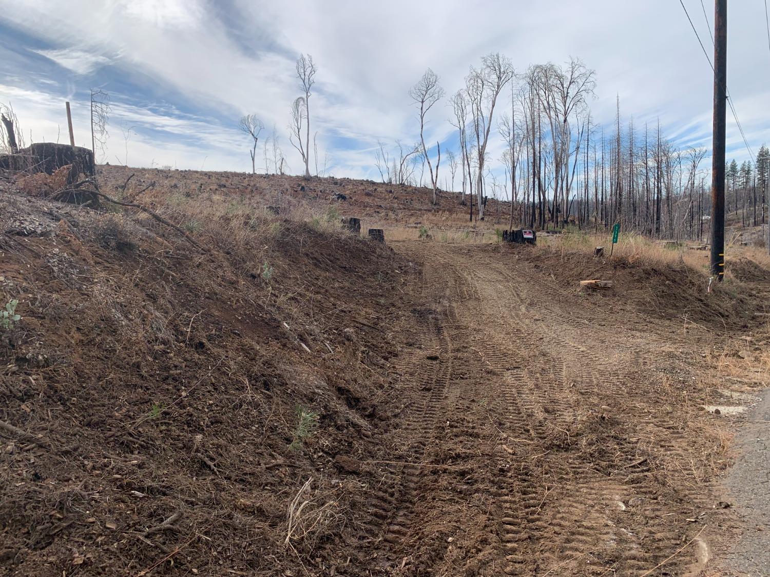 Winding Way, Grizzly Flats, California image 3