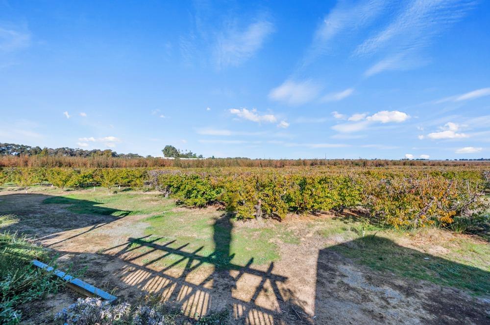 Detail Gallery Image 56 of 74 For 13263 Grand Island Rd, Walnut Grove,  CA 95690 - 4 Beds | 1/1 Baths