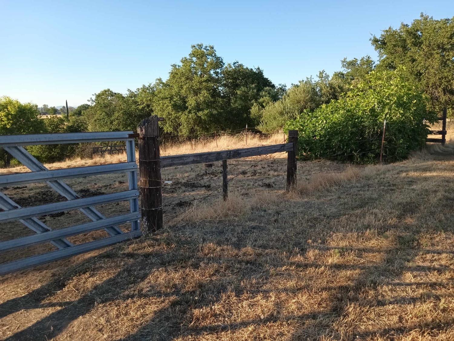 Butte Vista Road, Oroville, California image 2