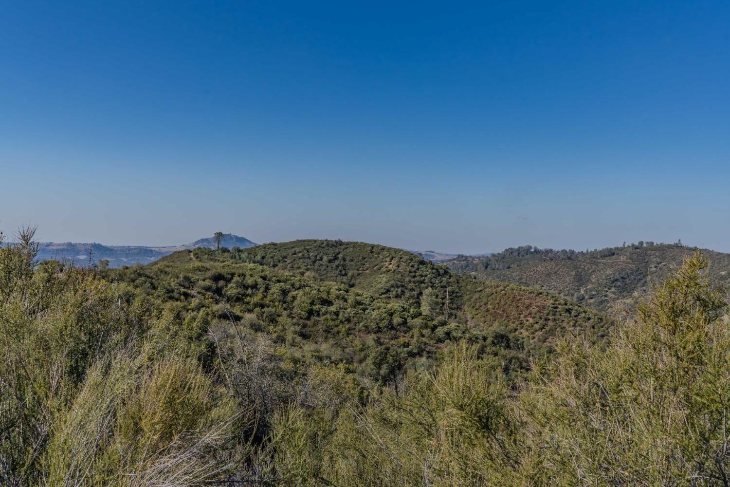 Promise Ridge, San Andreas, California image 16