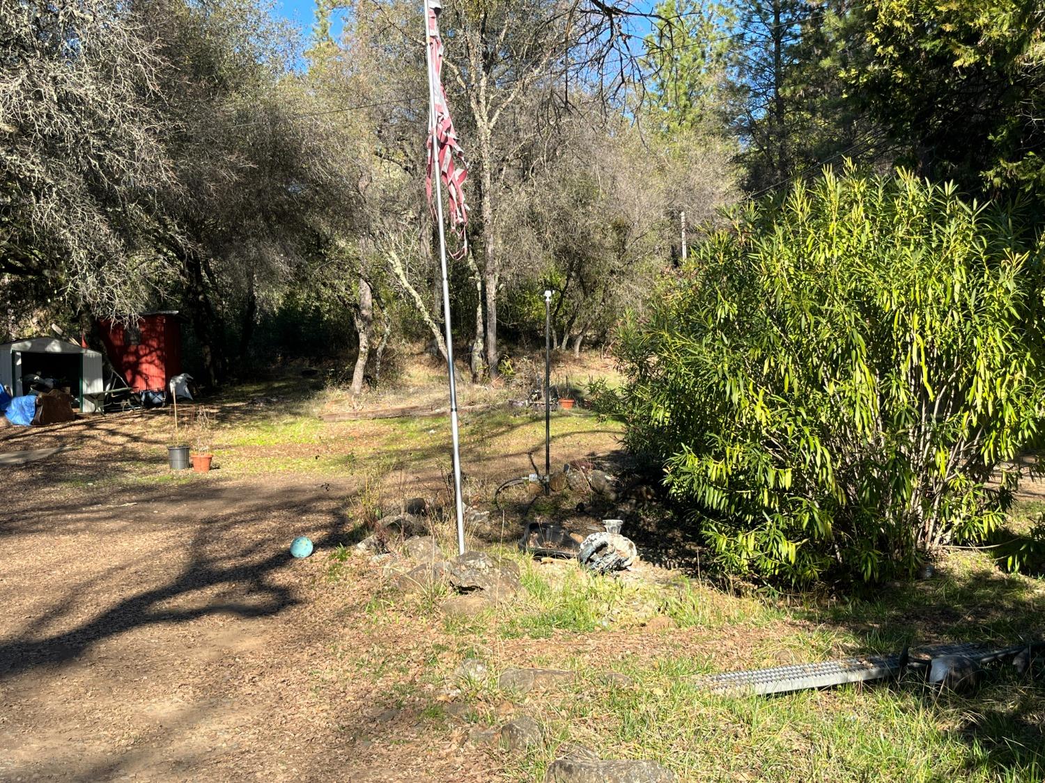 La Porte Road, Rackerby, California image 3