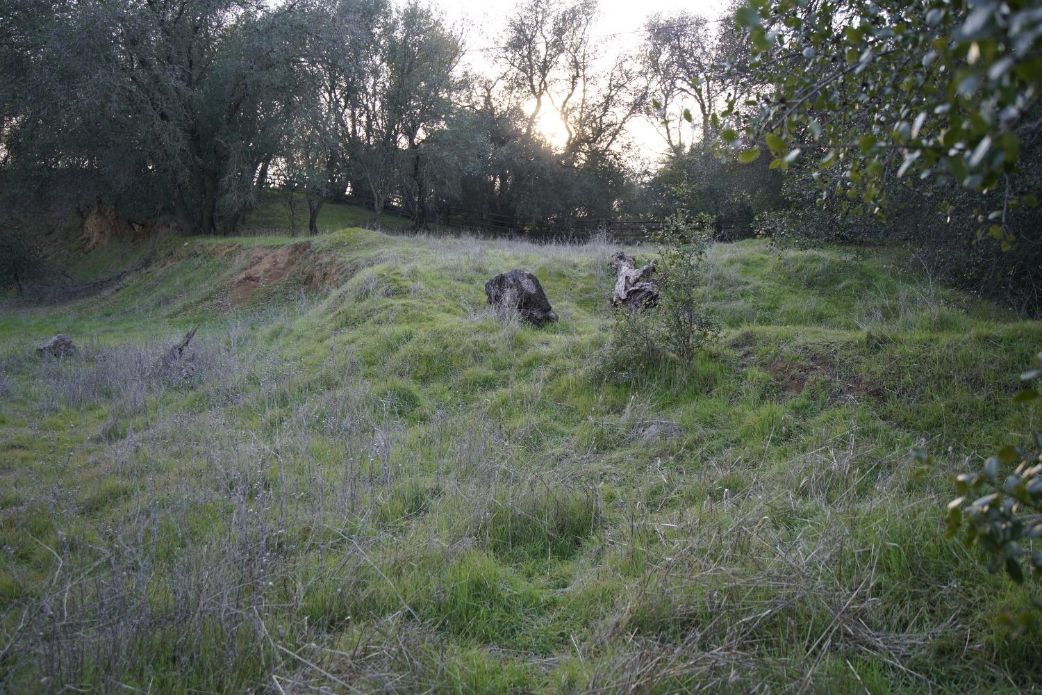 Big Ben Road, Lincoln, California image 10