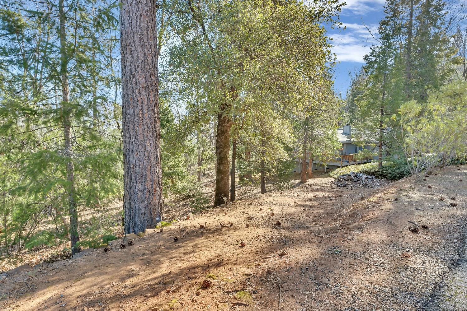 Detail Gallery Image 53 of 65 For 13839 Shirley Dr, Dobbins,  CA 95935 - 3 Beds | 2 Baths