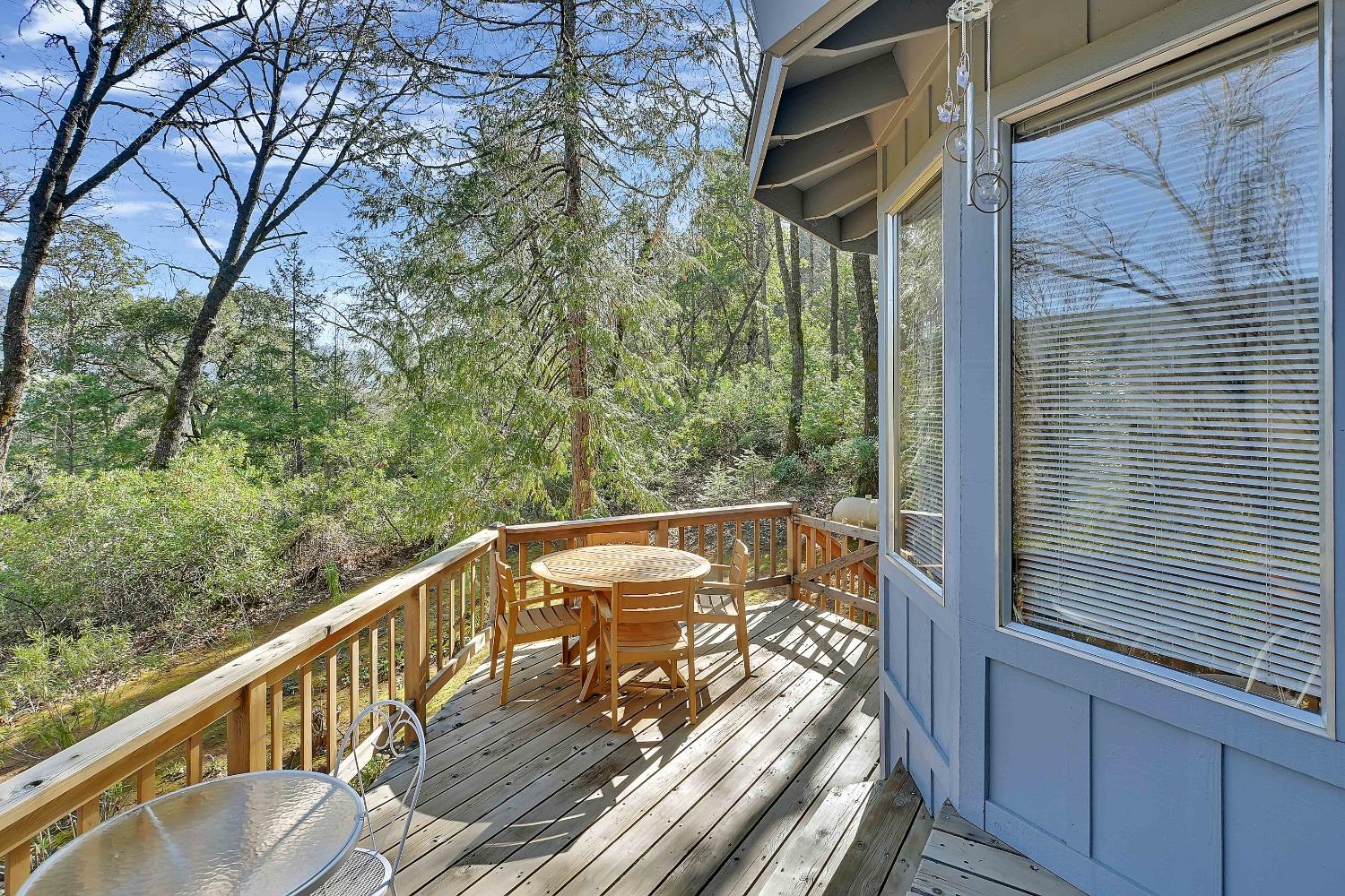 Detail Gallery Image 59 of 65 For 13839 Shirley Dr, Dobbins,  CA 95935 - 3 Beds | 2 Baths